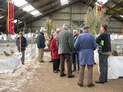 Overzicht THRIANTA-SHOW